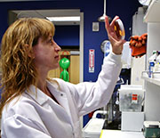 University of Colorado Denver associate professor Timberley Roane examines bacterial growth on Petri plates in her research laboratory in the school's department of integrative biology.