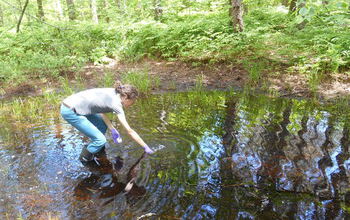 Vivien Taylor of Dartmouth College collects a water sample from a forest pool.