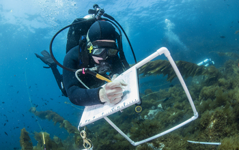 Marine researchers sample invasive weed