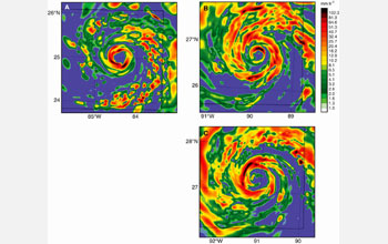 The forecast of surface rainfall intensity in Hurricane Rita