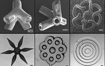 Examples of the geometries the high-throughput 3D bioprinter can rapidly produce.
