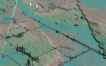 Aerial photo showing agricultural fields and canals of Colorado River delta after the earthquake.