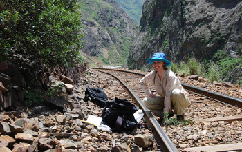 Scientist Stacey Smith collecting plant samples near Tambo de Viso in central Peru.