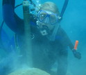 Scientist Hannah Barkley  under water collecting samples