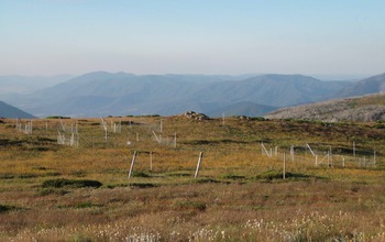 Grasslands amid mountains in southeastern Australia