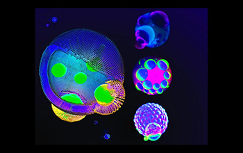 Artist's rendering depicting researchers' discovery of how mixtures of polymers that repel each other can parse into phase-separated droplets
