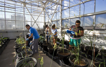 An NSF-funded research team uses industrial waste to lessen the acidity of soil at polluted sites.