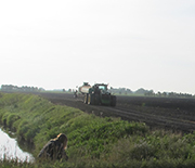 Ecologists collect water samples