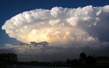 Supercell storms are distinguishable from other thunderstorms by their large-scale rotation.