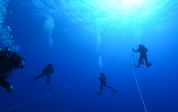 A team of scuba divers collects ctenophores off the coast of Hawaii during a research expedition.