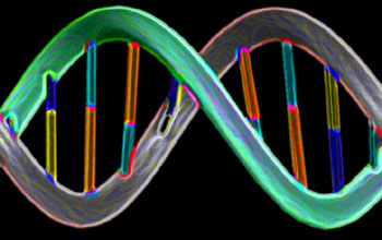 DNA Illustration, by James J. Caras. (Date of Image: 2005)
