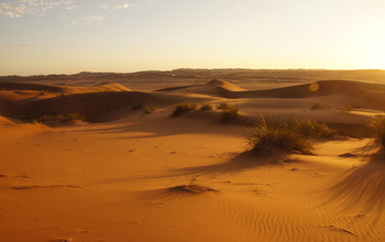 Sunset in the Namib, where fog supports diverse plant and animal communities.