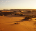 Sunset in the Namib, where fog supports diverse plant and animal communities.