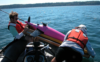 Underwater Gliders for Ocean Climate Observations