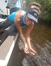 Scientist Jennifer Rehage holds a young common snook.