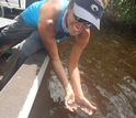 Scientist Jennifer Rehage holds a young common snook.