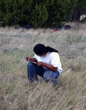 REU intern documenting plant compostion in field experiment