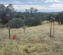 Dust collectors in the San Joaquin Experimental Forest, the study's lowest elevation research site.