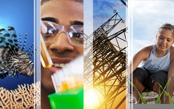 Collage of images showing a fish, an electric pole, a scientist and a girl participating in EPSCoR