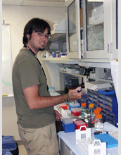 Joshua Elsasser works on his research project studying the metabolism of organophosphates.