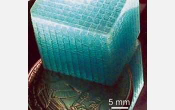 A 104-layer microvascular network enclosed in a clear epoxy matrix