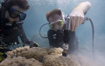 Scientists extract a coral core from a massive colony