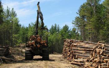 Land conservation leads to production jobs for timber and non-timber products.