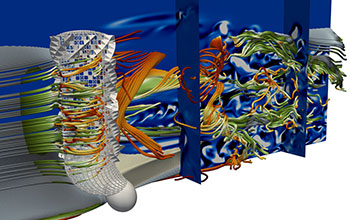 Hydrodynamic field inside and outside skeletal structure of the glass sponge