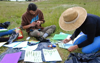 Researchers glue leaves of wild plants to blue paper for disease symptom assessment.