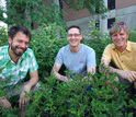 Scientists Stephen Good, David Noone and Gabriel Bowen among plants