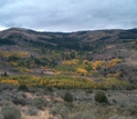 Trees and hills at the Reynolds Creek in southwest Idaho.