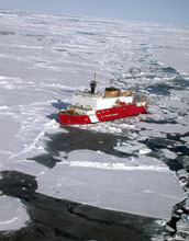 The Coast Guard cutter <em>Healy</em> cuts a path through the Antarctic ice