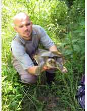 Bill Hopkins examines a soft-shell turtle from a mercury-contaminated river in Virginia