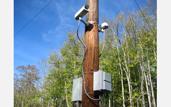 Close-up of robotic camera system, part of effort to locate the famed ivory-billed woodpecker