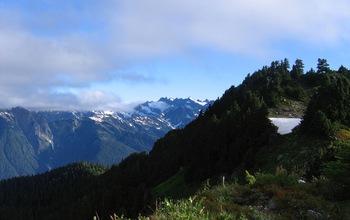 Mid-summer snowfields in the mountains of Washington State; most snow has melted.