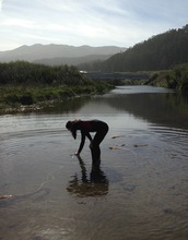 a student stands in a river