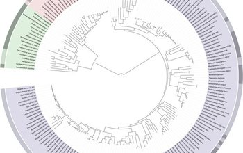 Modern-day tree of life plot