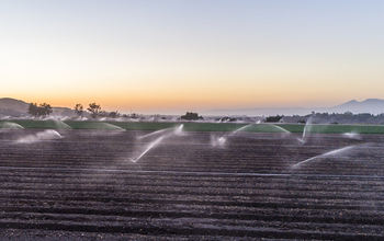 An agricultural field in California being irrigated.