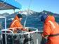 Scientists at the Northern Gulf of Alaska LTER site conduct research off the coast of Alaska.