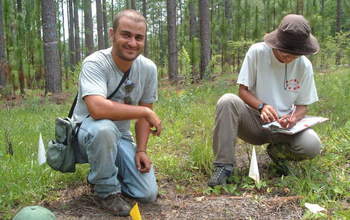 Scientists Julian Resasco (left) and Elizabeth Long at a fire ant site in a forest