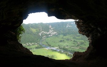 Caves are critical habitats for Greater Antilles bats. Bats rebound slowly from loss of habitat.