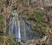 A Luquillo waterfall after the storm: Downed trees have fallen across the stream.