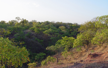 View of the scientists' field camp in the Rukwa Rift Basin in southwestern Tanzania.