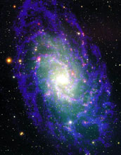 Triangulum Galaxy