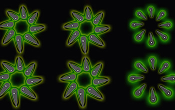 A rendering of a halide perovskite nanocrystal array emitting light