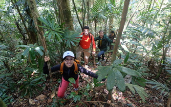 researchers in the forest