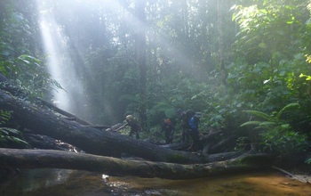 group of patrollers in the forest