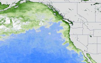 In 2015, one of the largest harmful algae blooms on record fouled waters along the West Coast.