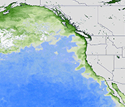 In 2015, one of the largest harmful algae blooms on record fouled waters along the West Coast.