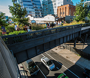 forest on bridge on New York